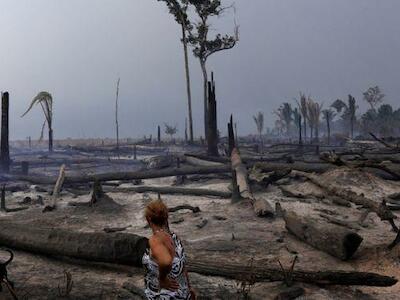 Congresso pode liberar fazendas para desmatar até 50% de terras na Amazônia