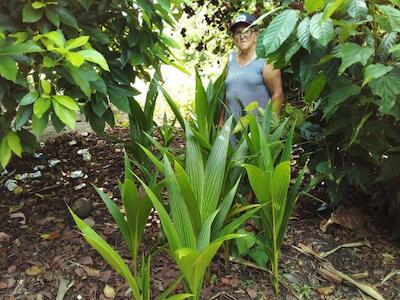 Maria Manthay, guardiã da biodiversidade Maria Manthay, guardiã da biodiversidade. Foto: Comunicação do MST na Bahia