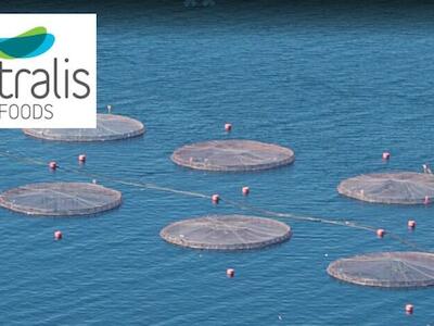 Correo de Australis revela que pretendía compensar sobreproducción de salmones disminuyendo cultivos en centros sin operaciones
