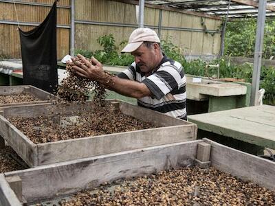 Costa Rica guarda un tesoro de semillas ante crisis climáticas o alimentarias