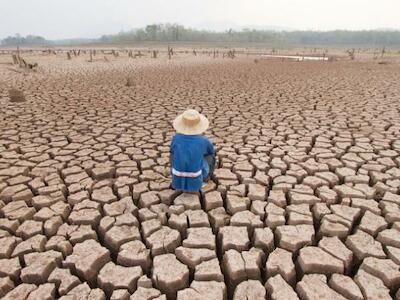 Crisis climática anunciada: los desastres en cadena en el mundo