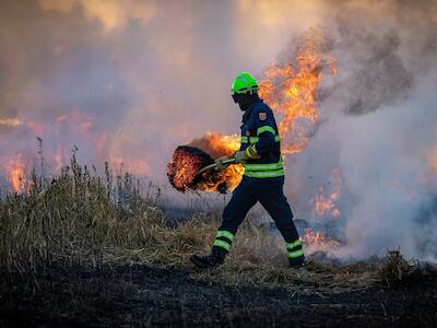 Crisis climática e incendios crean círculo vicioso letal