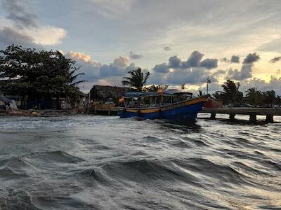 Crisis climática y lucha por la conservación: los temas marinos que marcaron 2024