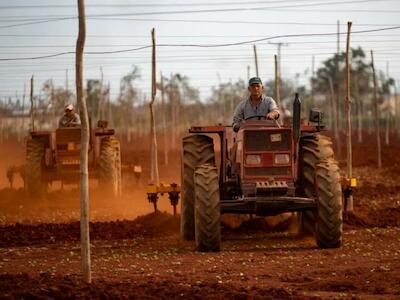 Cuba traza estrategias para reimpulsar la economía y combatir distorsiones en el sector agrícola