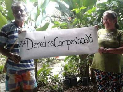 Declaración de los Derechos Campesinos surge de las luchas de la Vía Campesina