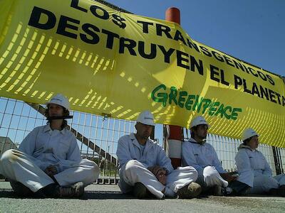 Foto: Greenpeace / Kate Davison