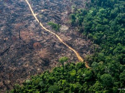 Foto: Mongabay Latam