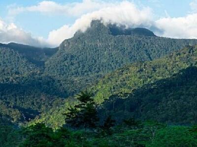 El Área de Conservación Regional Cordillera Escalera (ACR – CE) también fue impuesto a las comunidades sin previa consulta previa, indican las federaciones. Foto: Gobierno Perú