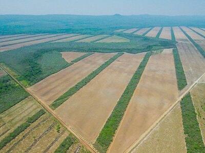 Denuncian “descarada” privatización de tierras fiscales en favor del agro cruceño