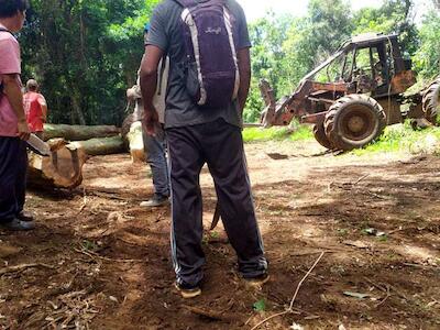 Denuncian que el Ministerio de Ecología autorizó desmonte en Campo Grande 