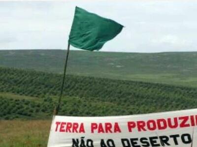 Desafios do campesinato brasileiro: a UNDROP como instrumento de luta