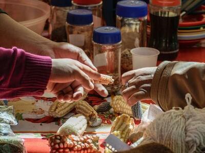 Desde la semilla | Feria anual de la vida 