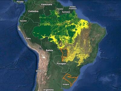 Desmatamento na Amazônia em junho equivale a 100 mil campos de futebol