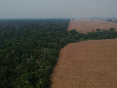 Foto: Bruno Kelly - Amazônia Real