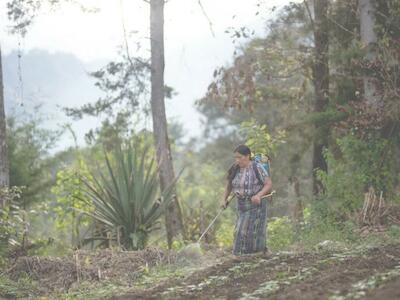 El FIDA invierte en la población rural a través de proyectos de inversión, promoviendo la igualdad de género y el empoderamiento de las mujeres rurales. Cortesía: ©IFAD/Santiago Billy/Factstory.