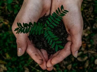 Dia da Terra: Duas vias para preservar a vida no Planeta