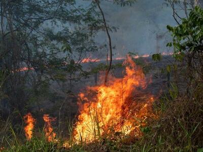 Foto de Amazonia.org