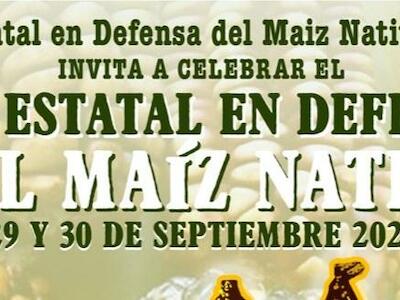 Día estatal en Defensa del Maíz Nativo 2021