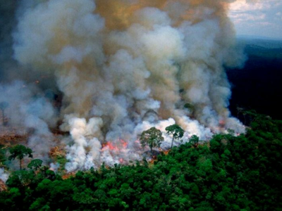 Dr. Leonardo Melgarejo: "Bolsonaro está en guerra con la naturaleza"