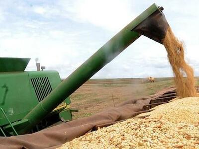 É a vez do agronegócio cooptar a COP do clima no Brasil