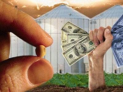 El aporte tributario del complejo sojero ni siquiera compensa el daño que causan
