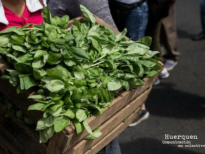 El campo que alimenta se moviliza