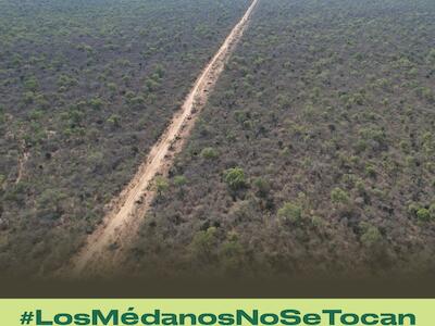 El Chaco perdió más de 4 millones de hectáreas de bosques en los últimos 15 años