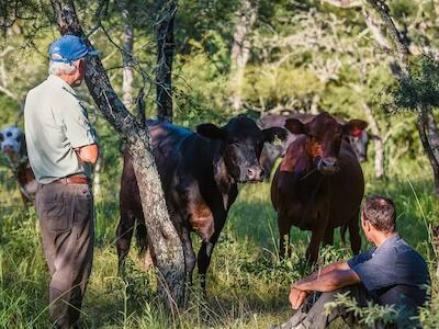  Abel y Leandro Menapace en su explotación en la provincia argentina de Santa Fe. Su proyecto familiar combina manejo del bosque nativo del Gran Chaco con producción ganadera. Celina Mutti Lovera/Diálogo Chino 