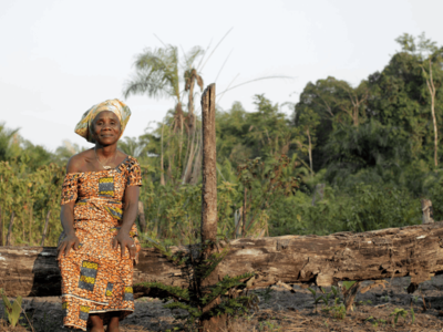 El Convenio sobre la Diversidad Biológica y la COP15