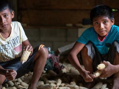 En portada: Niños desgranan maíz en la comunidad q'eqchi' de Chapin Abajo, donde monocultivos de palma aceitera despojaron de tierras a la población indígena. Foto: Santiago Navarro