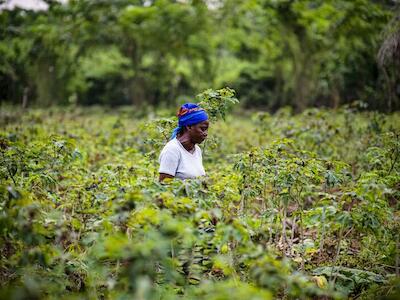 Angélique Ipanga, profesora y agricultora en un campo de mandioca, Lukolela, República Democrática del Congo. Foto de Ollivier Girard/CIFOR