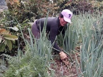 El Grupo Semillas pide fortalecer la producción local de alimentos