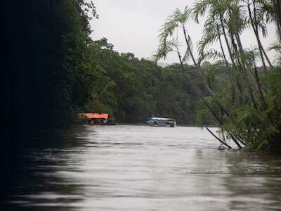 Foto: Actualidad Ambiental