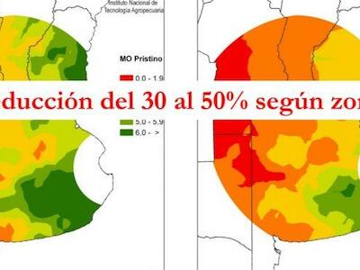 El INTA actualizó el mapa de fertilidad de los suelos y fue lapidario: La caída en materia orgánica llega hasta 50%