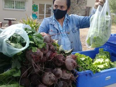 El Mercado Vaquereño celebra aniversario y sigue apostando por la agroecología