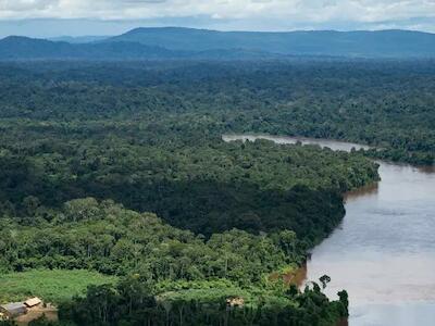 En la región amazónica, los niveles de mercurio se dispararon.Imagen: Andressa Anholete/Getty Images