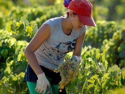 El modelo agroindustrial y la inequidad de género