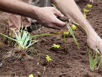 El nuevo gobierno cambia las reglas de la agroecología