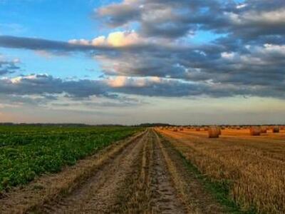 El sistema agroalimentario mundial genera injusticias entre países