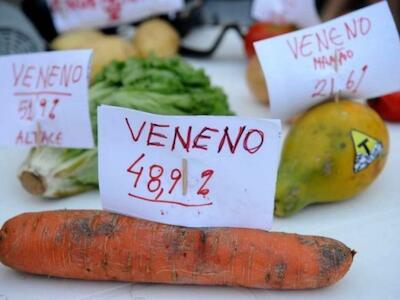 Em resposta ao PL do Veneno, entidades lançam dossiê com alternativas ao agrotóxico