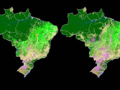 Em três décadas, Brasil perde 71 milhões de hectares de florestas