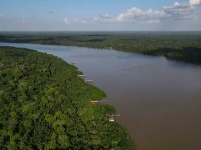 Fotografía aérea de una zona de la floresta Amazónica, el 6 de agosto de 2023, en el estado de Pará, norte de Brasil (EFE/Antonio Lacerda)