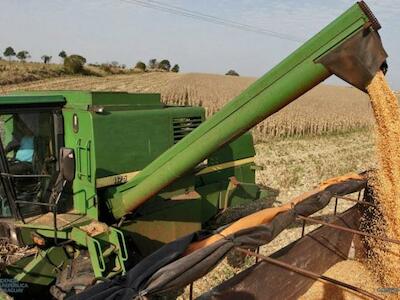 Empresas agroexportadoras ganan mucho, no generan empleos y aportan poco