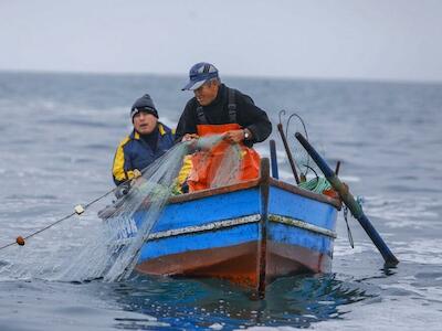 En medio de la discusión por Ley de Fraccionamiento, pescadores artesanales exigen planes de recuperación para pesquerías en crisis