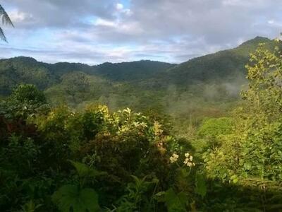 Foto: Los Cedros Biological Reserve