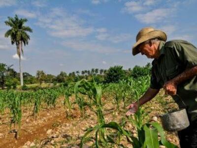 - Foto de La Vía Campesina