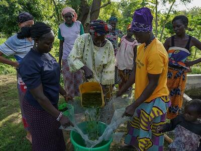 Entenda como a agroecologia é um dos pilares da revolução agrícola em Burkina Faso
