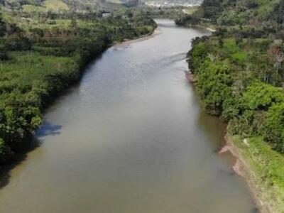 Estudio advierte del peligro de la deforestación en la Amazonia y las nuevas enfermedades