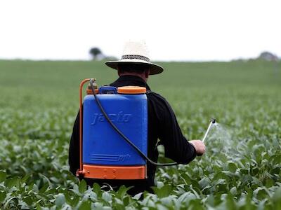 EUA devem banir agrotóxico que afeta cérebro e é dos mais vendidos no Brasil