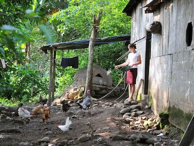 Foto de archivo: FAO Una agricultora alimenta a sus animales en una granja familiar en Nicaragua